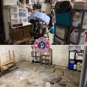 A Picture of Basement Clean Out in Bloomington