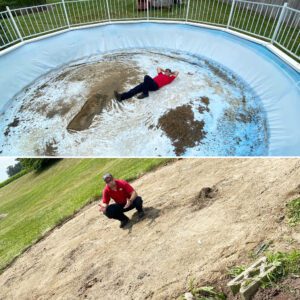 Above Ground Pool Removal in Bloomington